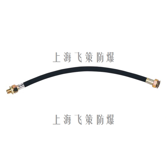 BNG防爆挠性连接管